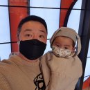 현대애견 이미지