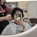 헤어샵 | 홍대 합정 미용실 달콤한 게으름 미용실 추천 합정역 헤어샵 후기