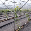 성장농원 이미지