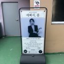 봄보아 | 인천 부평 셀프 사진관 - 예뻐서,봄 후기
