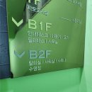 찬경축산 | 수영일기: 2~7일차 과정 기록✍️