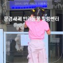 문경새재반려동물힐링센터(젠틀펫파라다이스) | 문경새재반려동물힐링센터 젠틀펫 강아지위탁서비스 이용후기