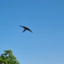 매화민박 이미지