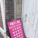 통미로 | 평택 사주 타로맛집 레드희 자세한 후기