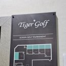 둔산타이거스크린골프존 이미지