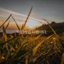 임금물회