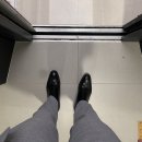 장풍상회 | [진수삼 일상] 스트레인저 팬이에요