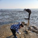 몽산해변펜션 이미지