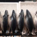 삼성수산(노량진수산시장 도매상에서 수산물 유통판매합니다. 많이 찾아주세요) 이미지