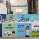 매일
