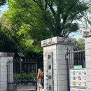 청계천카랜드 | 도쿄여행 / 도쿄 가볼만한곳 신주쿠공원 입장료 운영시간 스타벅스 신주쿠교엔점