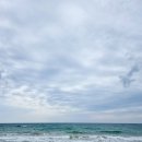 월포주유소 이미지