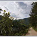 9호민박 이미지