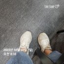 파리바게뜨병점진안점 | [23.10.22/화성시 병점,동탄1,동탄2임장] 유동성의 힘 동탄 2 같은 지역은 어디?
