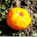 상예동-4 이미지