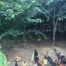 구암동281 이미지