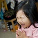 덕천구룡성 이미지