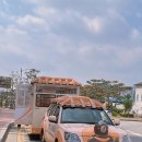 신바람성인회관 | 공주 1박2일 여행 코스 가볼만한곳 (금강신관공원 / 공산성 / 무령왕릉) 후기 2탄