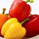 우상농장 이미지