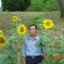 주상완대 이미지