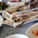 거목민박 이미지