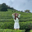 용호 소프트 | 홍대 퍼스널컬러 가성비 좋은 fitcolor 에서 진단 받음