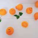 준이네농장 이미지