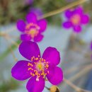 사진마당 이미지