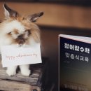 수학의시선학원
