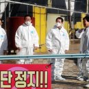 김영록농장 이미지