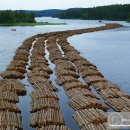 배타고 음악여행(09) : 세계의 원목선 (Log Carrier) 이미지