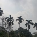 한국폴리텍 VII 대학 창원캠퍼스 이미지