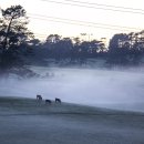 동이목장 이미지