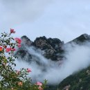 산정농장 이미지