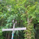 바우길 6구간 이미지