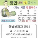 괴산 대학찰옥수수 원산지 - 괴산군 장연면 방곡리 이미지