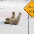 요가(남) 이미지