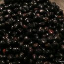 정 머리방 이미지