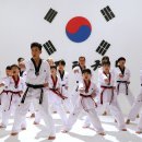 용인대 백두산 태권도 이미지