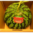 신당농장 이미지