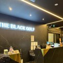 OK골프연습장 | 미사골프연습장 실내부터 퍼팅까지! 하남미사더블랙골프연습장 후기