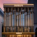 다미아니 카카오 검색결과