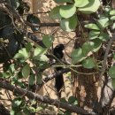 장유어린이집 | 장유 프린터 렌탈 부담 없는 캐논 복합기 설치 후기