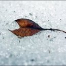 사랑이야기 이미지