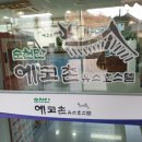 순천만에코촌유스호스텔 이미지