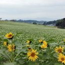 정읍농수산 - 13338 | 정읍농수산
