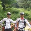 숨은진주 이미지