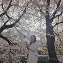 4783 | 판교역 미용실 아센티 더 판교 애쉬매트브라운 염색 &amp; 단발 커트 후기