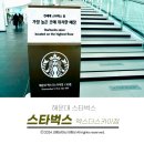 청학하늘정원 | 해운대 카페 전세계 중 가장 높은 곳에 있다는 스타벅스 다녀온 내돈내산 후기