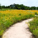 밀양아리랑오토캠핑장 이미지